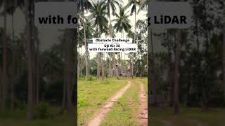 DJI Air 3S Obstacle Avoidance Test — Ultimate Palm Tree Challenge (Guess How Many It Detects!)