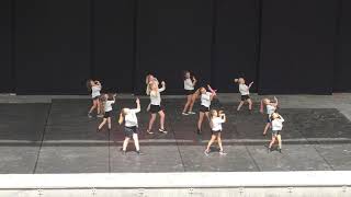 dfy 2020 zuiderpark 2   Dance For Youtube