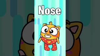 Let’s Find All Face Parts! Can you Name them All? #learnforkids