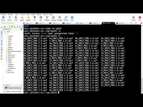 Copy the QE pseudopotential folder into a user folder