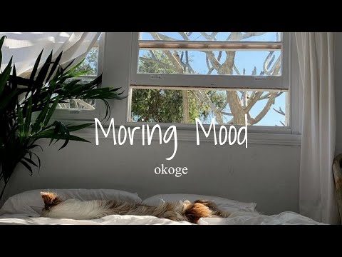 【Playlist】良い一日の始まりに素敵な洋楽を。/morning chill vibe songs
