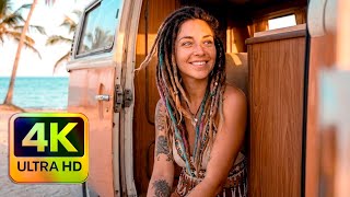 🌺 Boho Reggae Loop in 4K | Sunset Chill Vibes & Beach Freedom