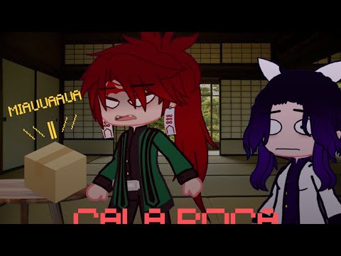 Eu não sei se o gato está vivo ou morto| meme Demon slayer