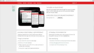 What's next - Mobile Web Development