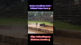 Yermal Kudi🔥 Kalki, Raaje, Munne, Daase, Kutti🔥 #voiceofputtur #kudikambala #yermal