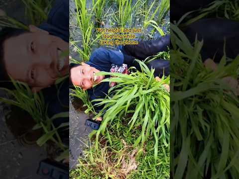 Saya Terjatuh 😄😂