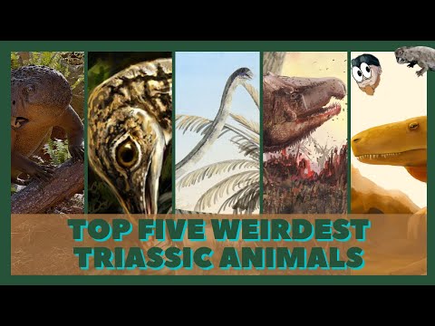 Top 5 Weirdest Triassic Animals!