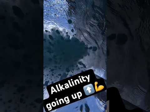 Alkalinity drop, but make it cinematic 💦🎬 #poolcleaning #poolguy #poolmaintenance