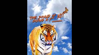 enjoy the sound of not giving a f**_. 🐅🦋