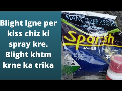 How To Control Blight In Crops//Field Vlog//Protect Your Crops