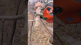 #agritools #farmer life #tonglufeng #agriculture #agritool #youtubeshorts #viral