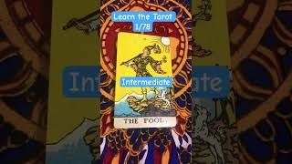 The Fool - learn the TAROT 🔮 1/78 #tarot #learntarotwithme #thefool