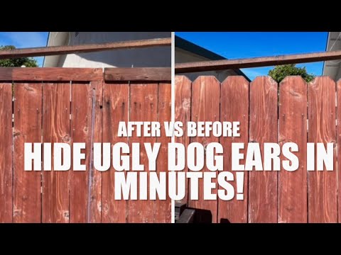 Hide Ugly Dog Ears in Minutes. Cheap! Easy! DIY!