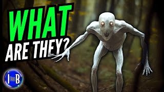 Pale Crawlers: True Tales of Nightmarish Encounters