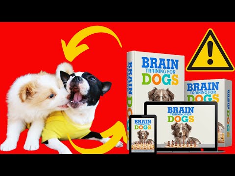 TRANSFORM YOUR DOG'S BEHAVIOR WITH BRAIN TRAINING FOR DOGS A Comprehensive Analysis and Results!