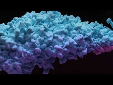 worpress guru video