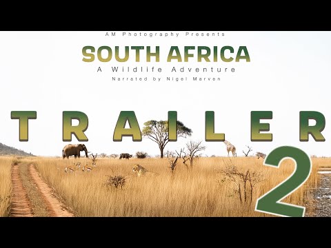 OFFICIAL TRAILER 2 - South Africa: A Wildlife Adventure narrated by Nigel Marven - [2024]