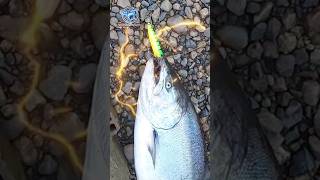 ✨🎣✨ #fishing  #pesca #lures #fypシ゚viral #fypc #salmon #chinook