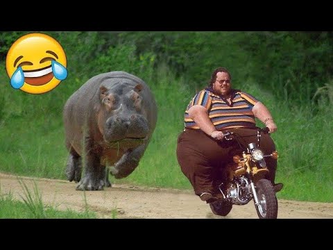 Unusual Memes Compilation v34