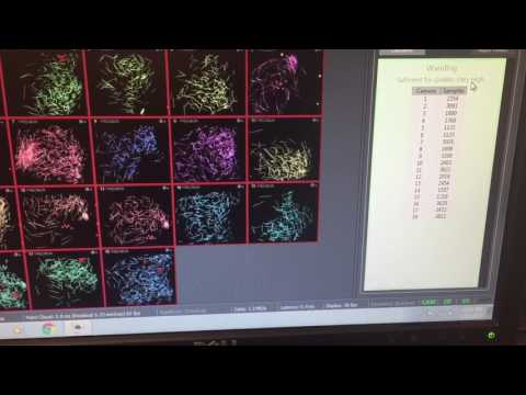 How to use Motive Optitrack system