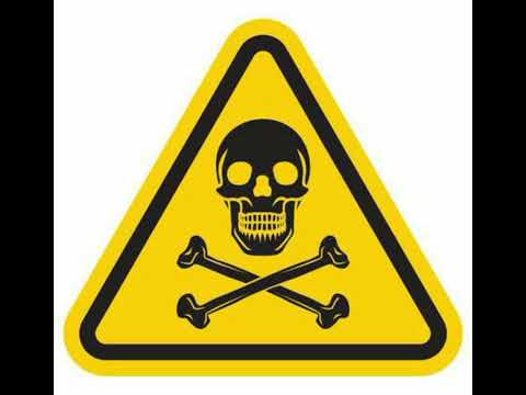 Elbrazilly-AUTOTEON (Audio) [FT. @ZIADLEGGI]