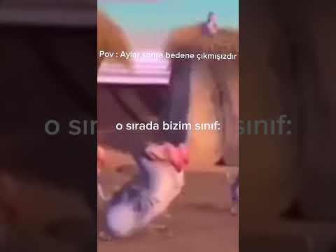 Aylar sonra bedene çıkmışızdır o sırada bizim sınıf: