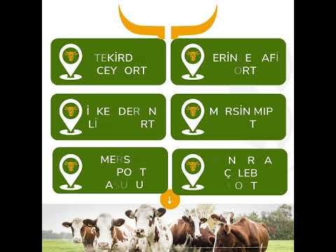 Rebornship Livestock Services - agency@rebornship.com - Turkey 🇹🇷 #shipping#livestock#turkey#agency