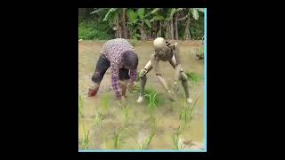 Farming Robots #futurerobots #robots #ai #innovation #futuretechnology #robotics #future #robot
