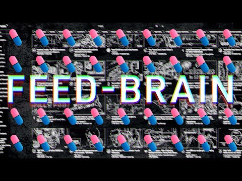 Feed Brain