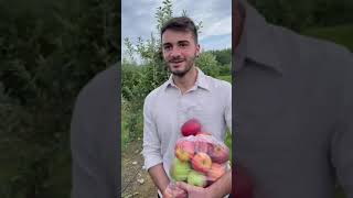 An Italian goes apple picking 😂 #shorts