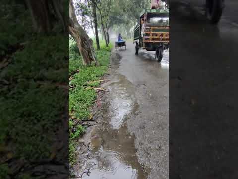 বৃষ্টির দিন 😄 26 August 2021 #Rainyday #rain