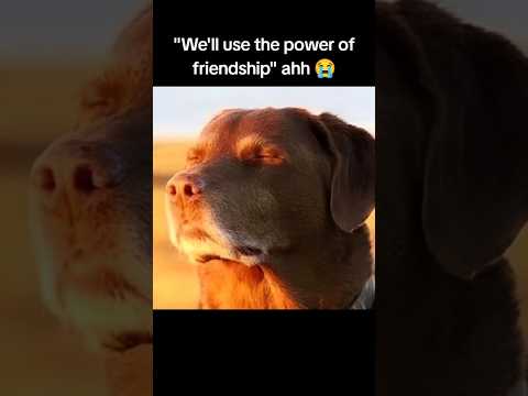 The power of friendship ♥️