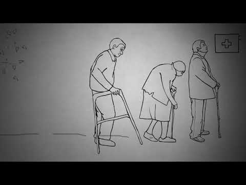 Maizel Promo Animation