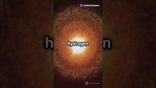 From Birth to Boom! 5 Explosive Facts About Stellar Evolution! #spaceodyssey