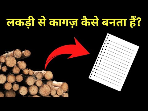 लकड़ी से कागज़ कैसे बनता है? how paper is made? #knowledgeinhindi #factsinhindi