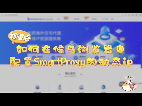 【紫鸟浏览器】如何配置SmartProxy动态ip？
