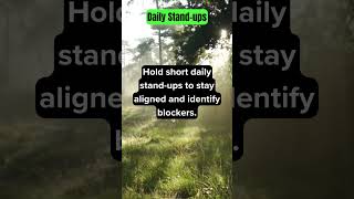 Project Management Tip # 14   Daily Stand Up  #projectmanagement #facts #motivation #agile