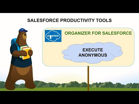 How to Run A Quick Console To Know Anonymous Apex Score |  Salesforce Organizer Execute Anonymous