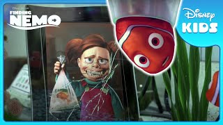 🏁 Will Nemo Join the Tank Gang? | Finding Nemo | Disney Kids