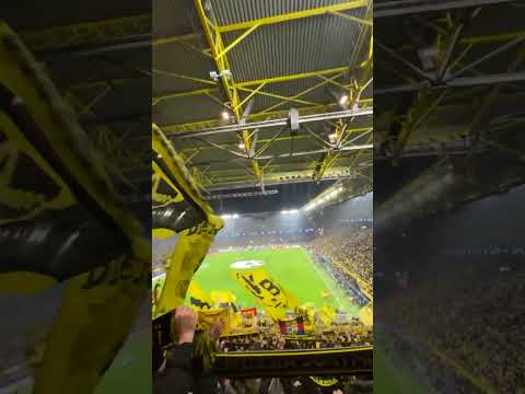 Dortmund PSG | You'll Never Walk Alone