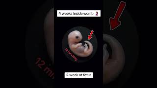 #babyusg #ultrasound #babyultrasound #pregnancyscan #pregnant #babyscan