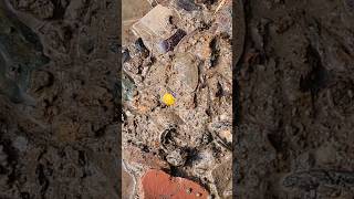Found@! 💛 ✨️ Yellow  in the mud #mudlarkingfinds #oklahomalife #explorationadventure