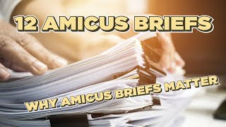 2025 Gun Rights Amicus Briefs | The Strategy Behind CRPA's Court Filings