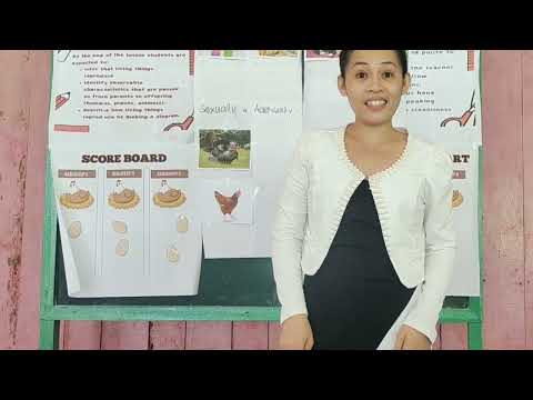 SCI101DEMONSTRATIONBEED2VC
