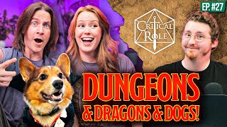 Critical Role Turns Dogs into D&D Characters!