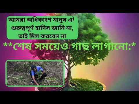 Trees in Islam: A Path to Spiritual and Environmental Harmony