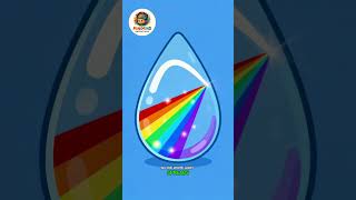 How Rainbows Form 🌈 | 2D Science Animation for Kids #rainbow #shorts #shortvideo