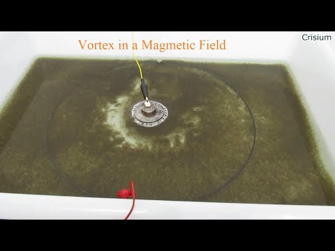 Magnetic Force on a Conductive Liquid  -  Vortex in a Magnetic Field