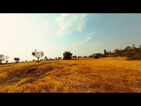Tracking Black Bucks with the Geprc Mark 5 with DJI O4 Unit Pro