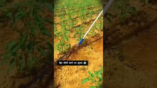 Drip Irrigation Tool 💦 #dripsystem #agriculture #farmingtips #agritools
